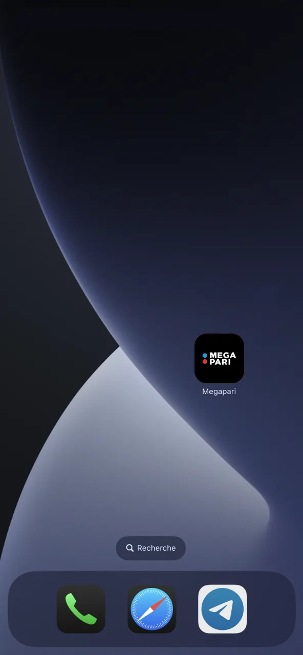 Lancer application et accéder compte Megapari.