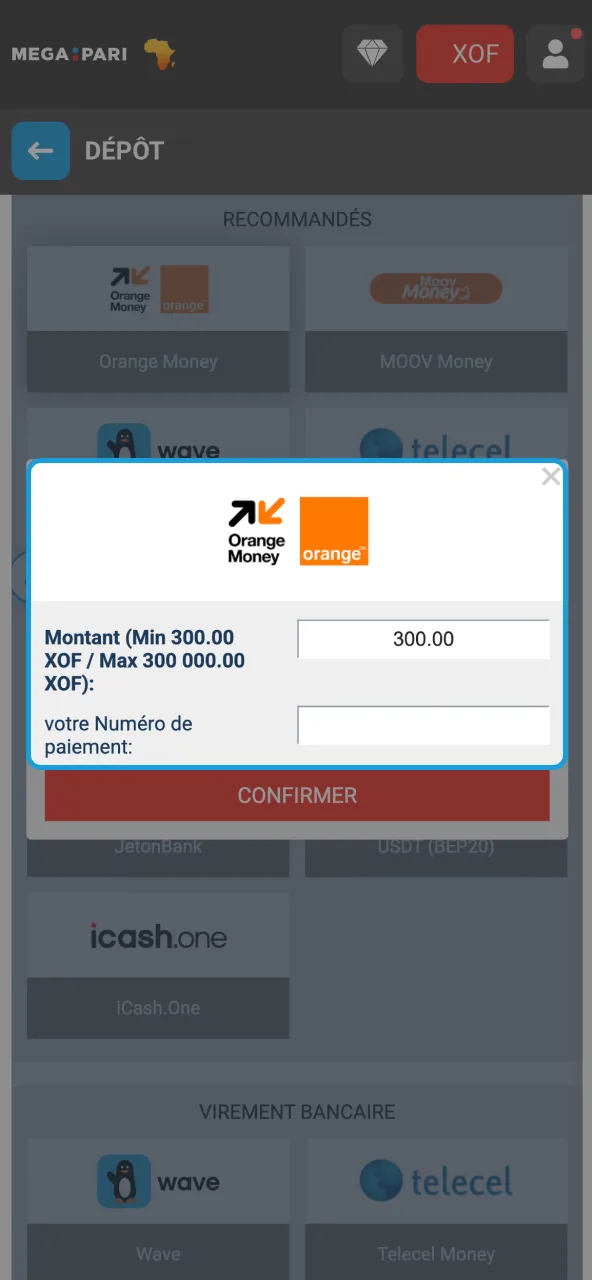 Entrer montant dépôt selon limites sur Megapari.